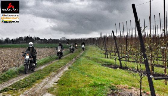 1148958_678126555583183_421574192_n