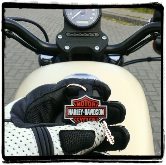 harley-davidson-sportster-iron-883-01