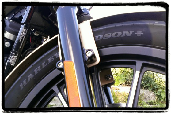 Harley-Davidson Iron 883 21