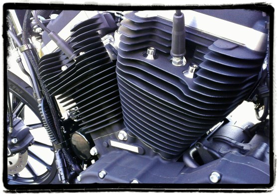 Harley-Davidson Iron 883 22