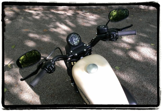 Harley-Davidson Iron 883 28