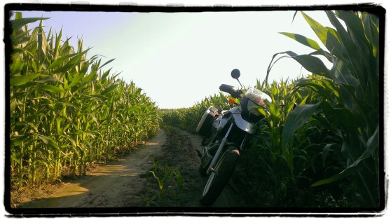 kouter-larestraat-leest