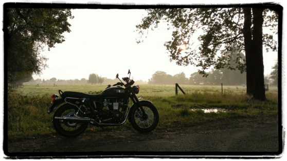 triumph-bonneville-t100-black-ochtendmist