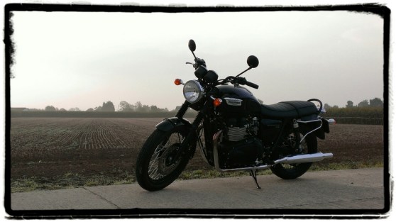 triumph-bonneville-t100-black-veld
