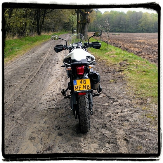 triumph-tiger-800-xrx-achterzijde