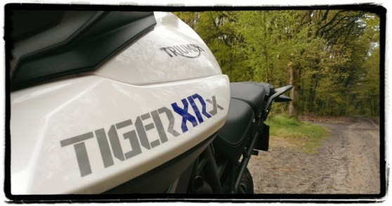 triumph-tiger-800-xrx-stickering