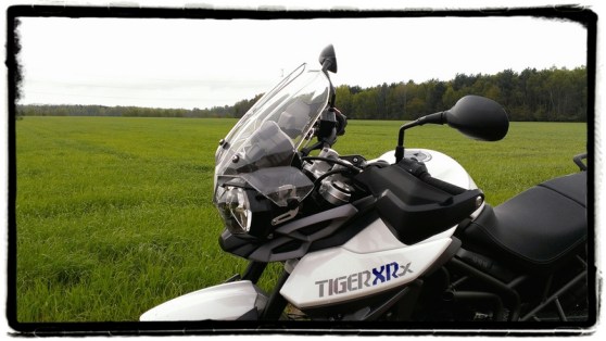 triumph-tiger-800-xrx-veld