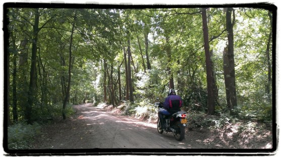 transalp-in-de-hollandse-bossen