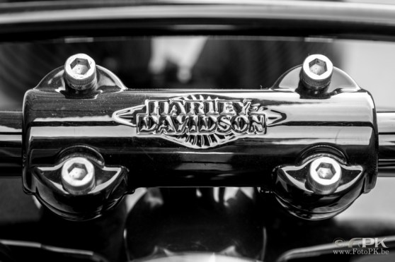 harley-davidson-steer