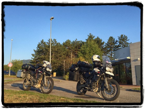 two-triumph-tigers